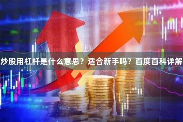 炒股用杠杆是什么意思？适合新手吗？百度百科详解